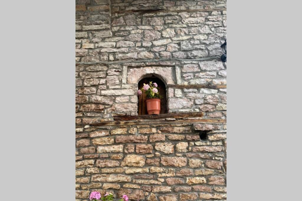 Kubeja Guest House Gjirokaster Exterior photo
