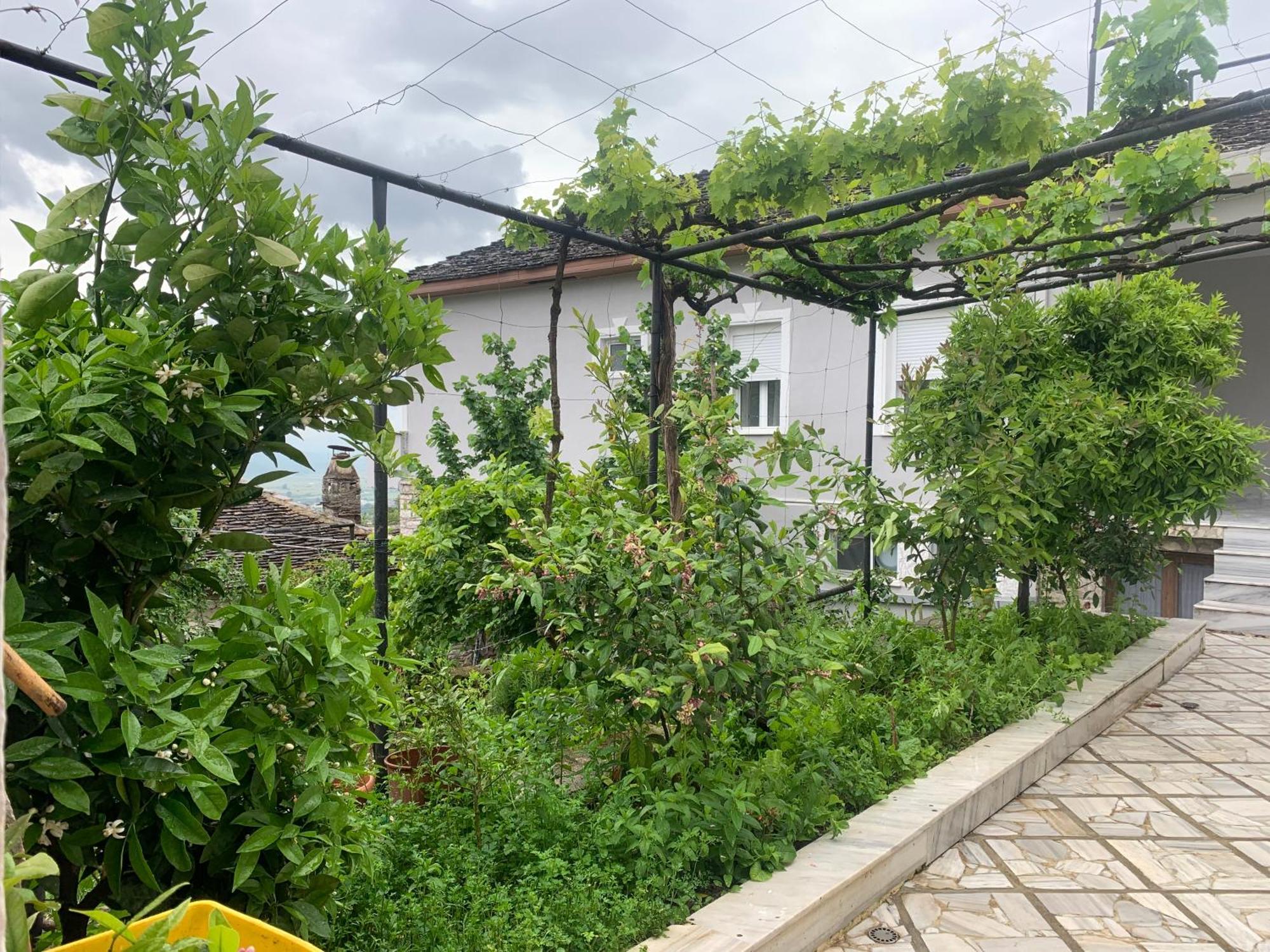 Kubeja Guest House Gjirokaster Exterior photo